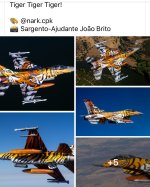 IMG_3940.jpeg