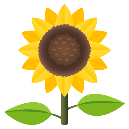 Sonnenblume :sunflower: 🌻
